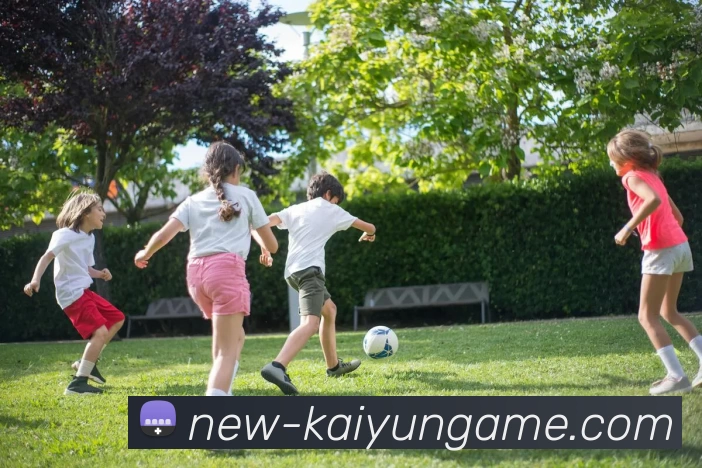 多媒体互动体验